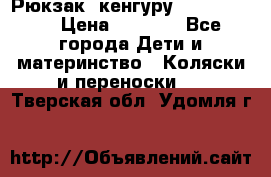 Рюкзак -кенгуру Baby Bjorn  › Цена ­ 2 000 - Все города Дети и материнство » Коляски и переноски   . Тверская обл.,Удомля г.